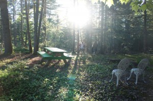 Table à pic-nique pour le plaisir !